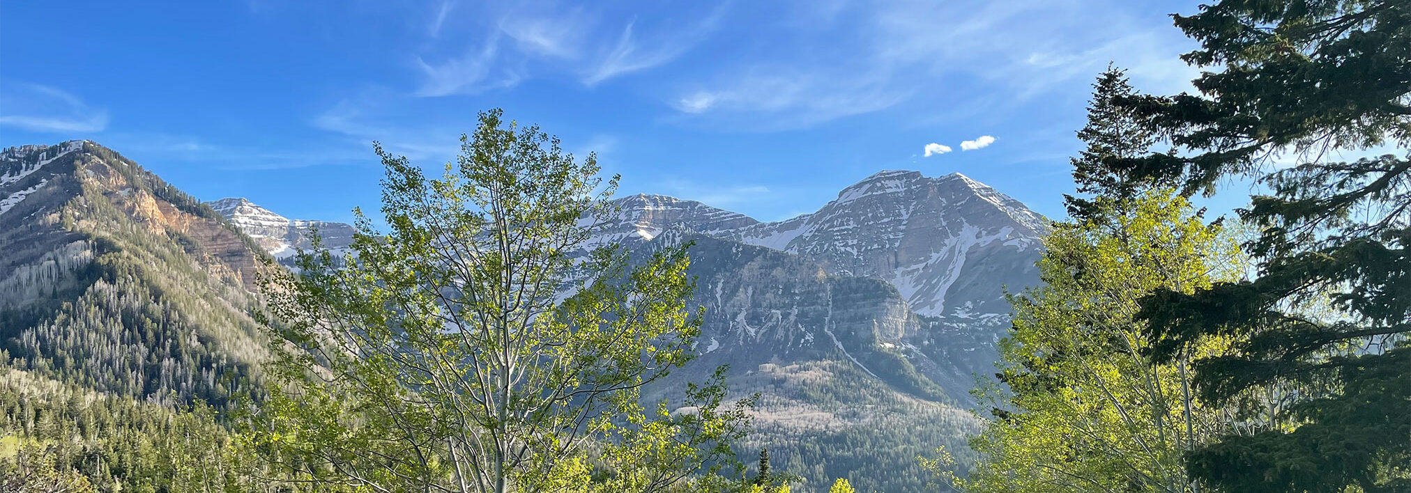 Horse's Head, Mount Timpanogos, American Fork Canyon Horse's Head, Mount Timpanogos, American Fork Canyon