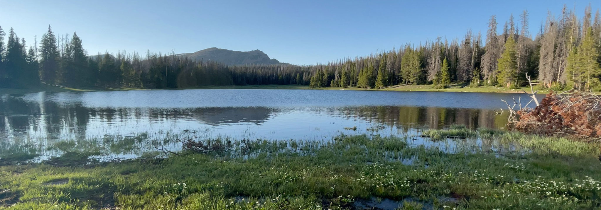 Lilly Lake, Mirror Lake Highway, Summit County Lilly Lake, Mirror Lake Highway, Summit County