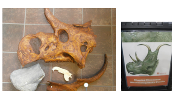 Educational Kits Dinosaur